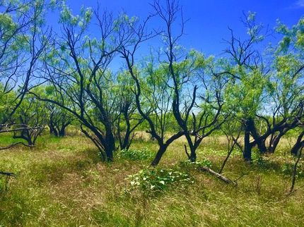Land in Stephens County, Texas