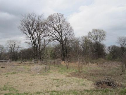 Farm and Ranch in Shelby County, Tennessee