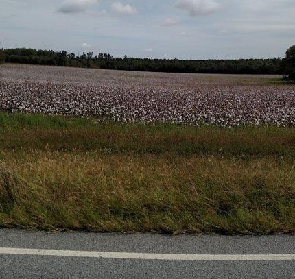 Recreational Property in Screven County, Georgia