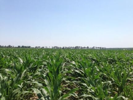 Farm and Ranch in Lonoke County, Arkansas