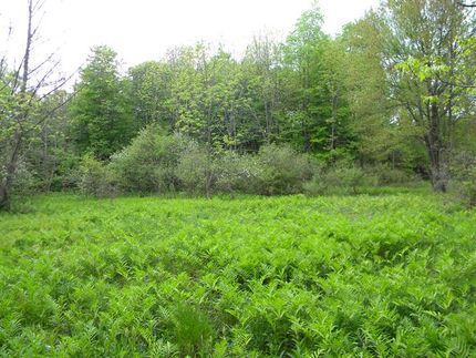 Farm and Ranch in Cortland County, New York