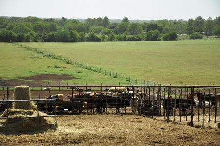 Land in Dewitt County, Texas