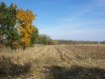 Undeveloped Land in Dane County, Wisconsin