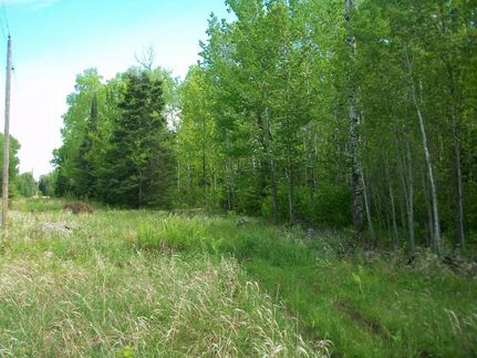 Land in Saint Louis County, Minnesota
