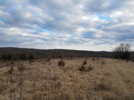 Undeveloped Land in Mercer County, Missouri