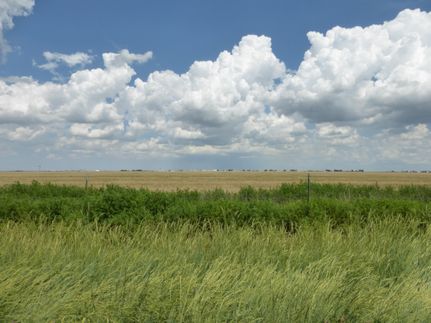 Farm and Ranch in Randall County, Texas