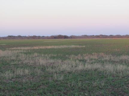 Farm and Ranch in Uvalde County, Texas