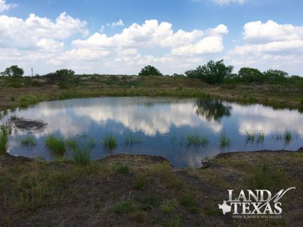 Land in La Salle County, Texas