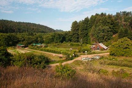 Timberland Property in Mendocino County, California