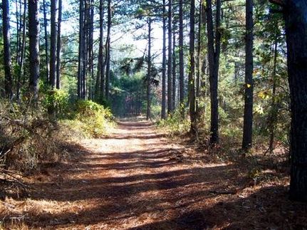 Farm and Ranch in Sharp County, Arkansas