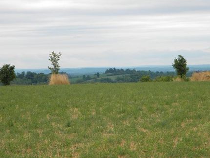 Farm and Ranch in Cayuga County, New York
