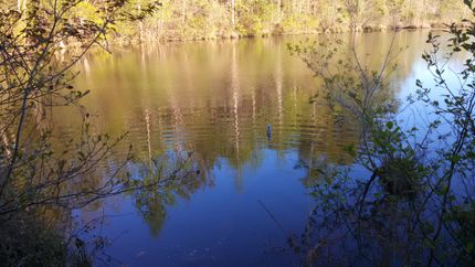Farm and Ranch in Coffee County, Alabama