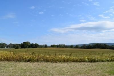 Timberland Property in Coffee County, Tennessee