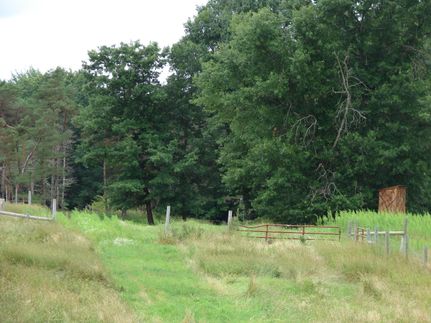 Farm and Ranch in Osceola County, Michigan