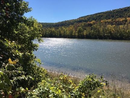 Waterfront Property in Tioga County, New York