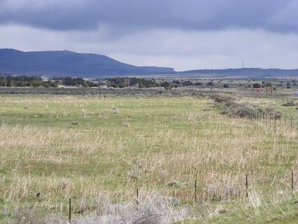 Farm and Ranch in Millard County, Utah