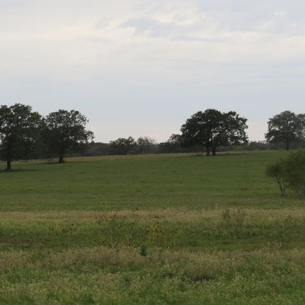 Farm and Ranch in Gonzales County, Texas
