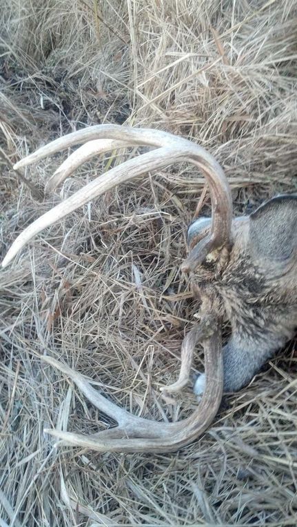 Land in Calhoun County, Michigan