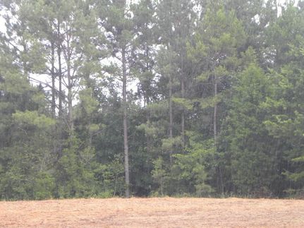 Farm and Ranch in Crenshaw County, Alabama