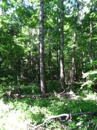 Farm and Ranch in Marengo County, Alabama
