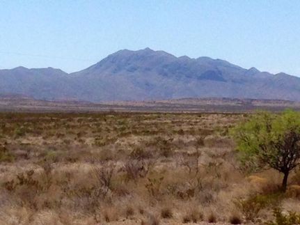 Land in Brewster County, Texas