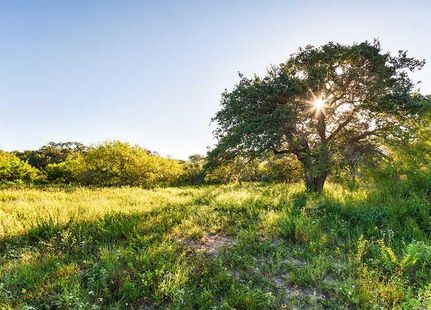 Farm and Ranch in Kenedy County, Texas