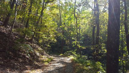 Timberland Property in Bedford County, Virginia