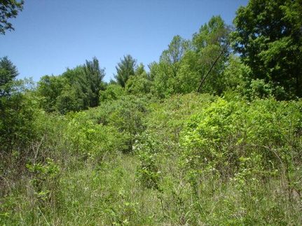 Undeveloped Land in Wythe County, Virginia