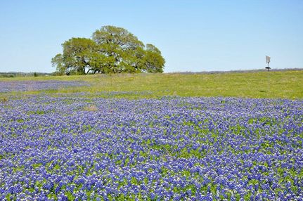 Land in Washington County, Texas