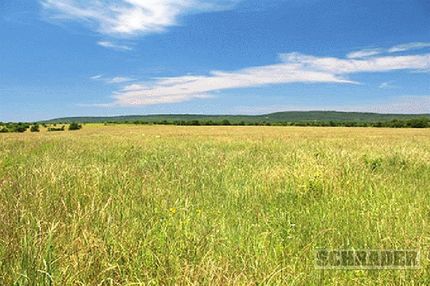 Timberland Property in Pittsburg County, Oklahoma