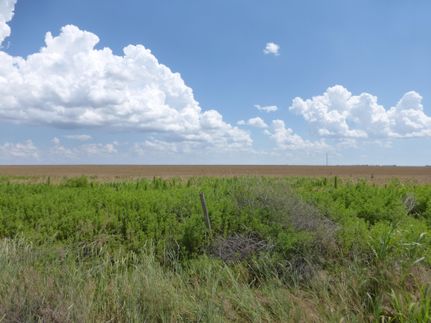 Farm and Ranch in Randall County, Texas