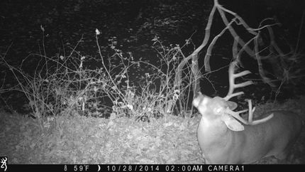 Land in Adams County, Ohio