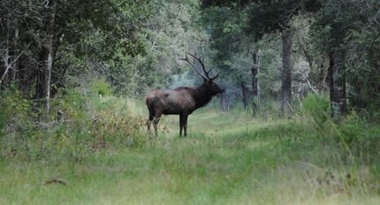 Recreational Property in Lavaca County, Texas