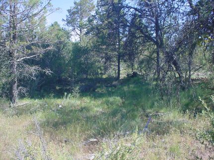 Recreational Property in Klamath County, Oregon