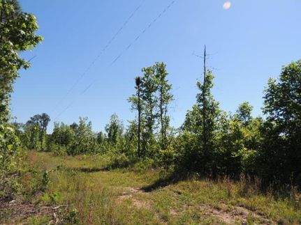 Recreational Property in Carroll County, Georgia