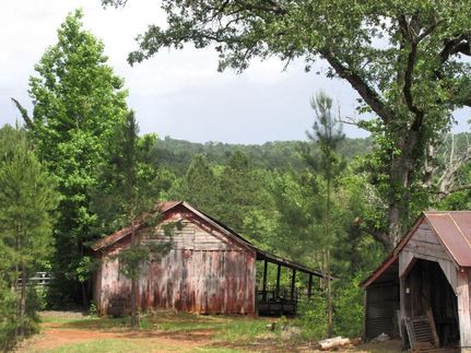 Timberland Property in Anderson County, Texas