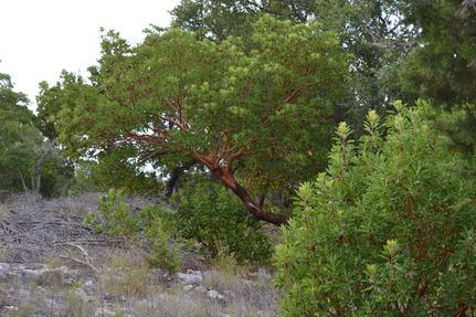 Farm and Ranch in Hays County, Texas