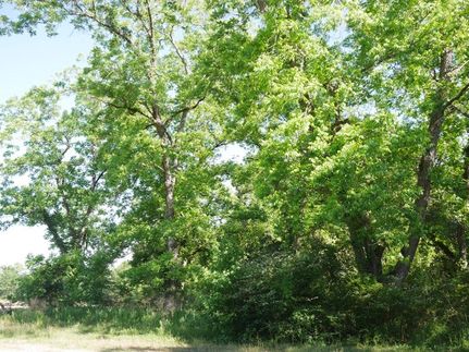 Farm and Ranch in Bulloch County, Georgia