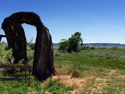 Undeveloped Land in Goshen County, Wyoming