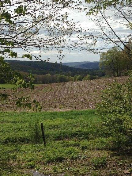 Commercial Property in Chenango County, New York