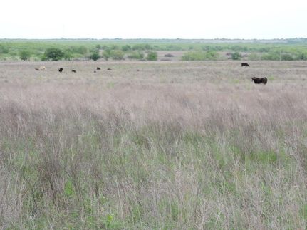 Land in Clay County, Texas