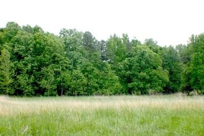 Farm and Ranch in Spartanburg County, South Carolina