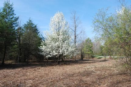 Farm and Ranch in Spartanburg County, South Carolina