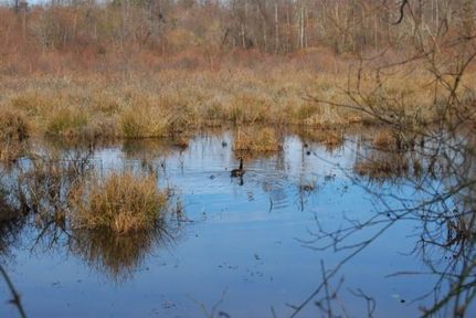 Riverfront Property in Spartanburg County, South Carolina