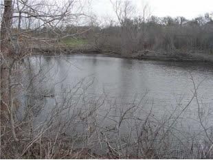 Recreational Property in Bastrop County, Texas