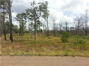 Farm and Ranch in Bastrop County, Texas