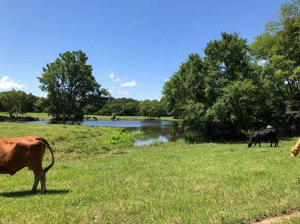 Farm and Ranch in Hopkins County, Texas