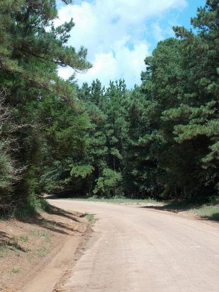 Timberland Property in Polk County, Texas