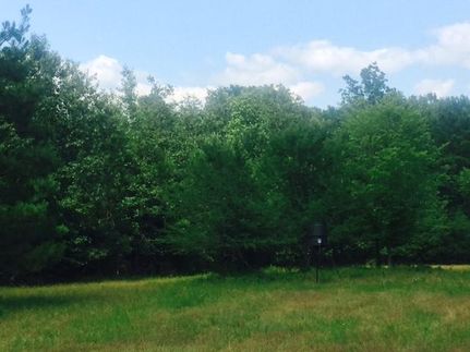 Land in Trinity County, Texas