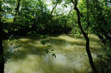 Undeveloped Land in Bledsoe County, Tennessee